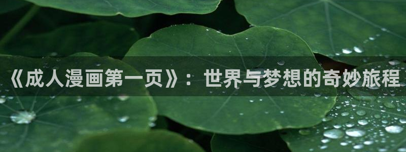 囧次元怎么用：《成人漫画第一页》：世界与梦想的奇妙旅程