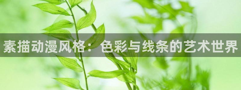 囧次元大全：素描动漫风格：色彩与线条的艺术世界